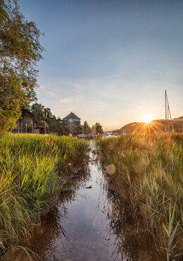 Ein Bach bei Sonnenuntergang